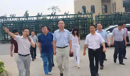 安徽六安市市长毕小彬一行考察青年制造