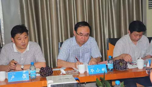 安徽六安市市长毕小彬一行考察青年制造